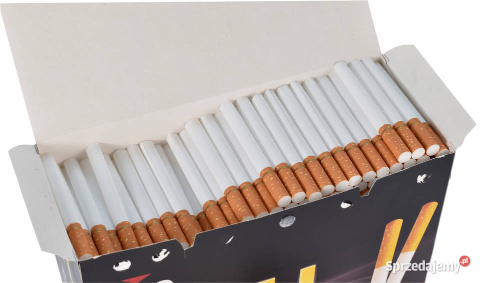 Gilzy Papierosowe z złotą obrączką bez napisu Tarnów