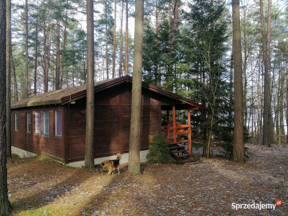 Domek Jagoda Mazury jeziorem Sasek Wielki nocleg