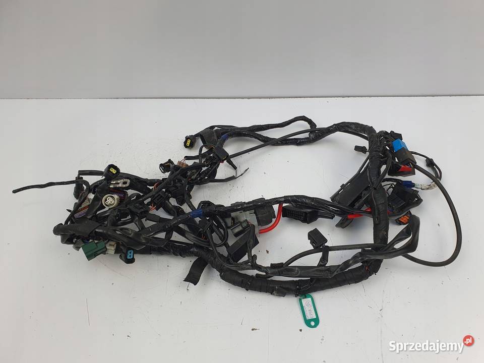 INSTALACJA WIĄZKA ELEKTRYCZNA Triumph Daytona R Chełm