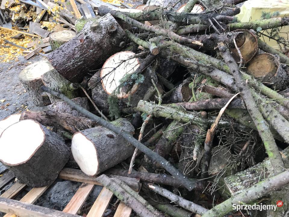 Sprzedam drewno drzewo opałowe mazowieckie Michałowice sprzedam