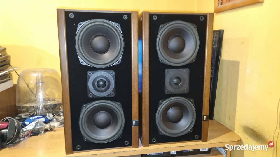 Znakomite audiofilskie kolumny ELAC ELR 65 Warta