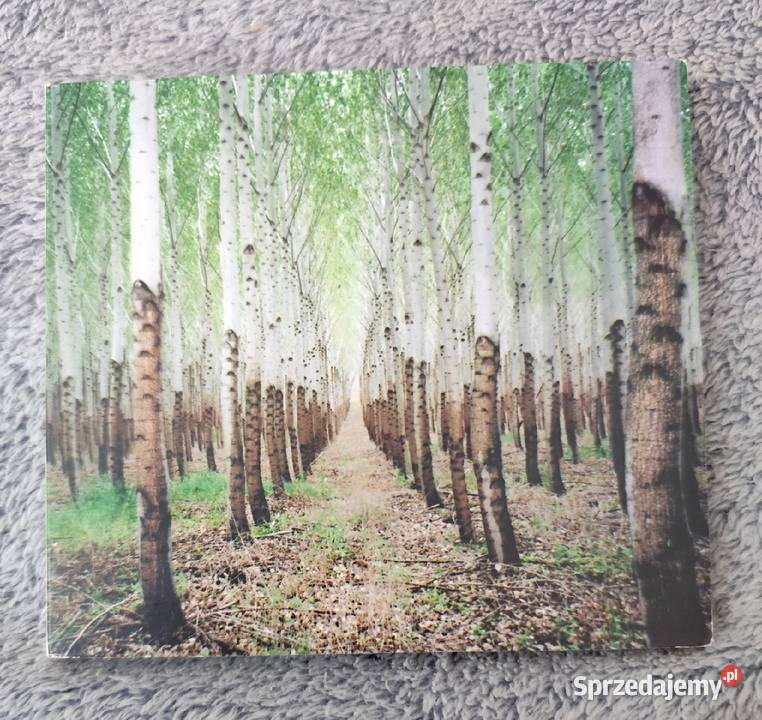 Talkdemonic Beat Romantic CD awangarda Rybnik