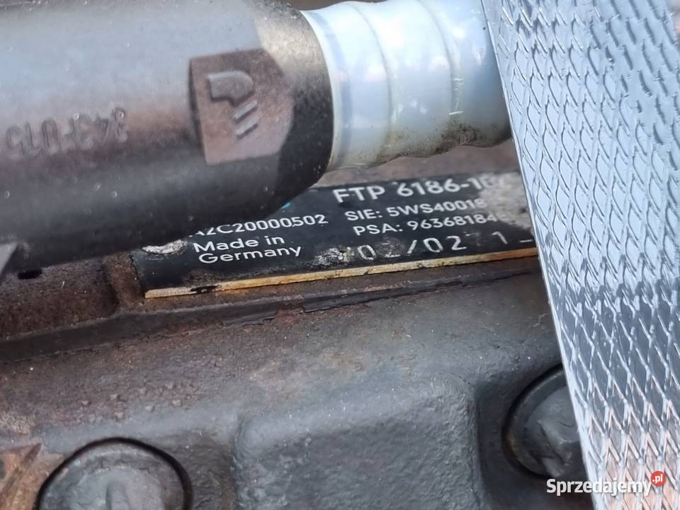 SILNIK KOMPL Fiat Scudo 20 HDI siemens 109 RHZ Rudka