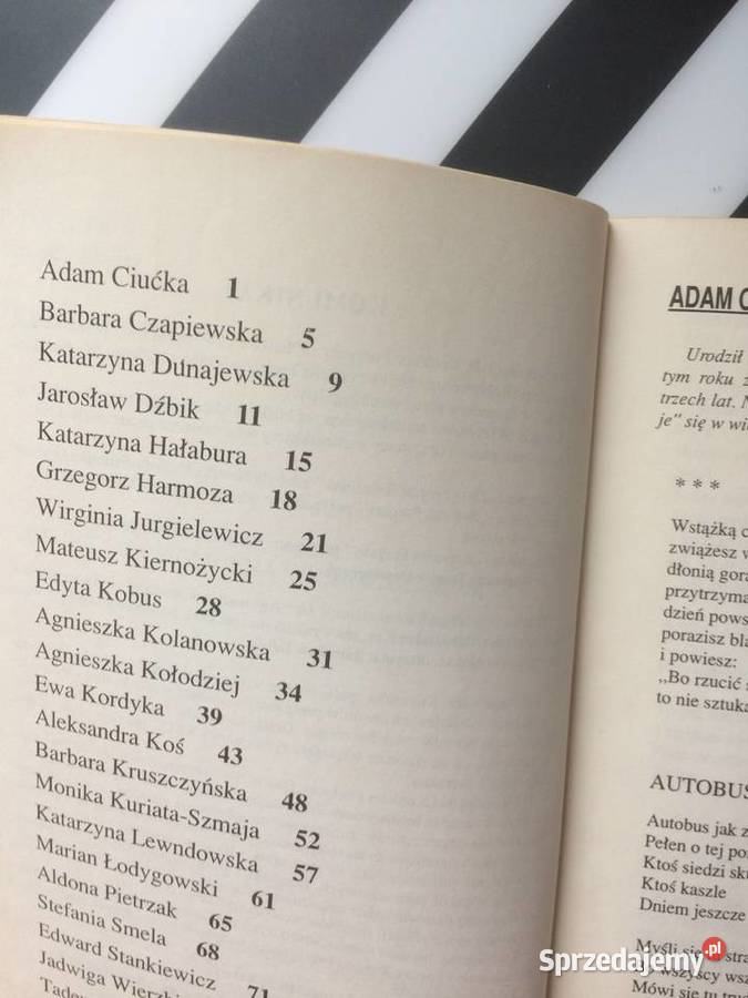 3698 Almanach Literacki Szczecin 94 sprzedam