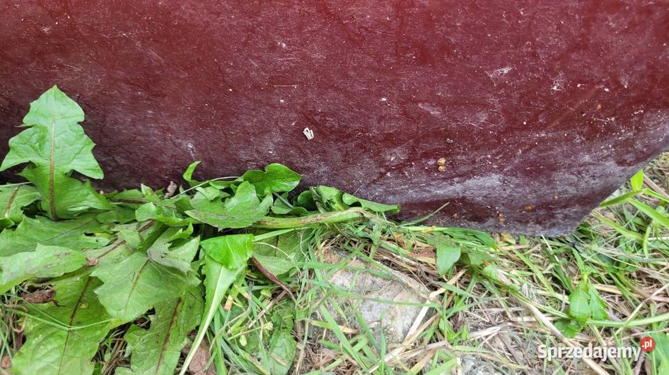 Drzwi Skoda Felicia Łagów