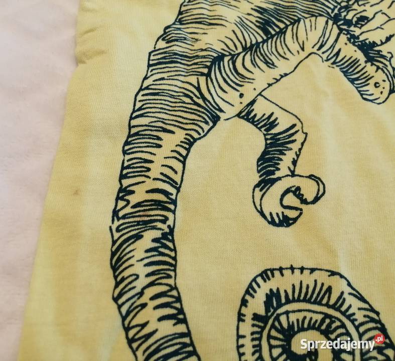 Koszulka krótki rękaw Tshirt żółta kameleon 104 Bluzki, koszulki i kaftaniki Czeladź