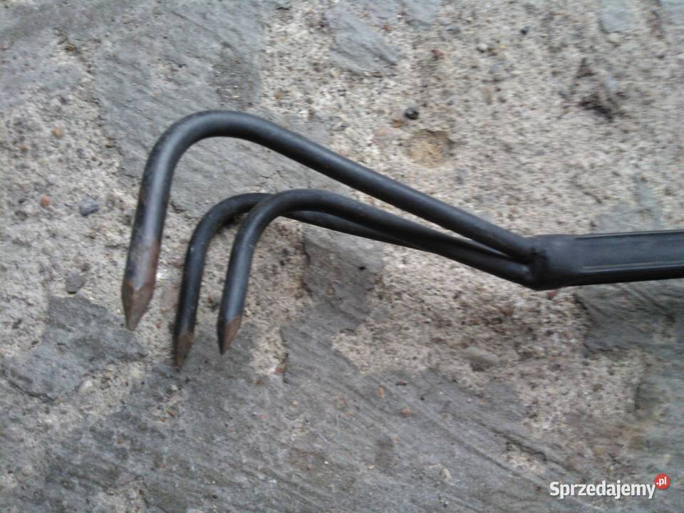 pazurki ogrodnicze Koszalin sprzedam