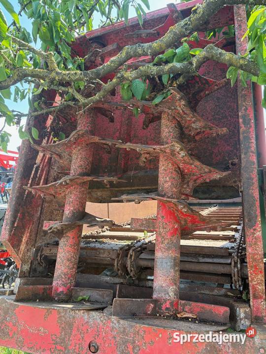 Rozrzutnik Siam 15m3 nieuszkodzony mazowieckie Zbuczyn sprzedam