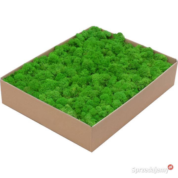 Mech Chrobotek PREMIUM Apple Green Karton 1 Czarków sprzedam