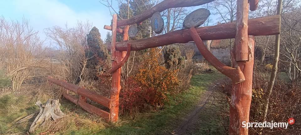 Bele wejściebelki Ogród dolnośląskie Jarosław sprzedam
