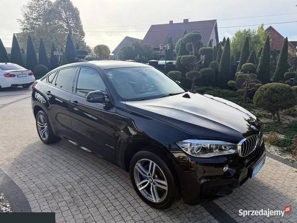 BMW X6 xDrive40d 30 Diesel 313 2018r Możliwa Krotoszyn