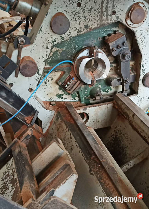Locatelli ariete Rozdrażew