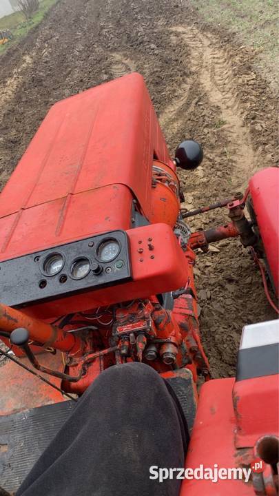 Wladymirec t25 ciągnik traktor Nadrybie Ukazowe sprzedam