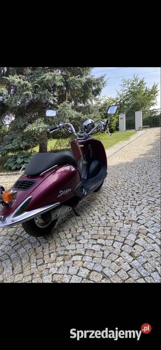 Honda shadow srx 50 perła Nowa Wieś Legnicka