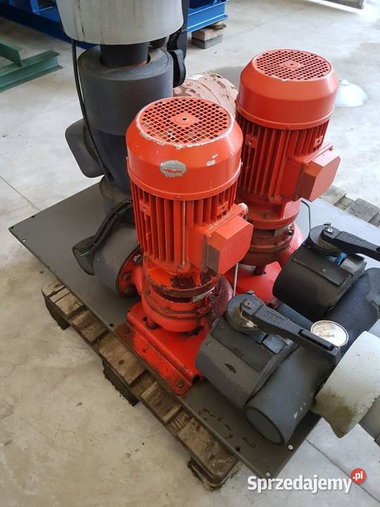 Pompa wody pompy wody Salmson LRC 206134 Niedźwiedź