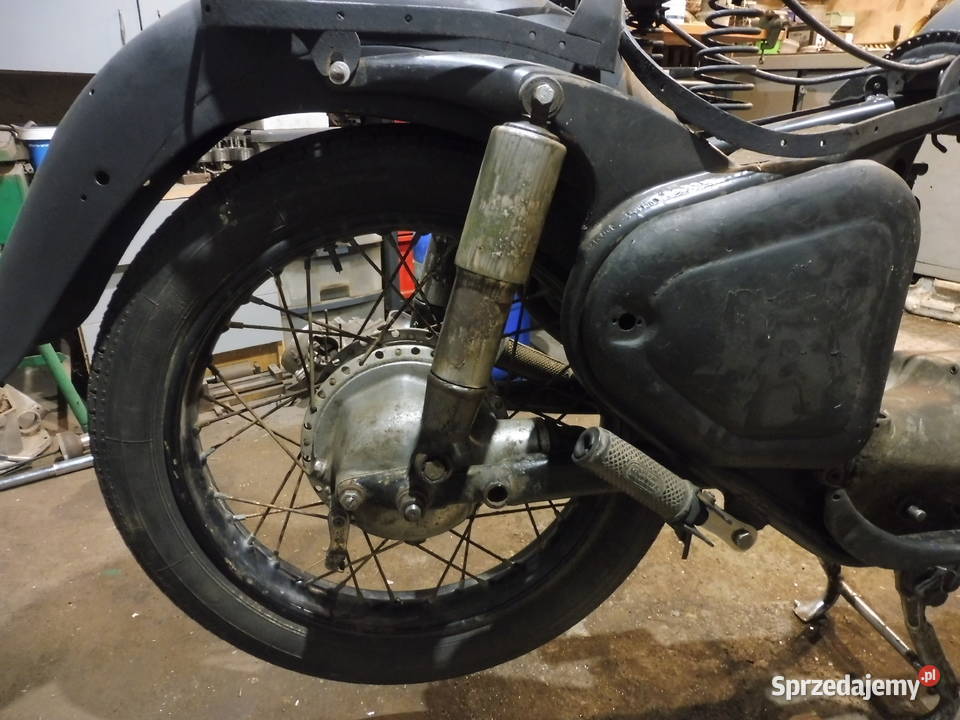 AVO SIMSON SPORT kujawsko-pomorskie