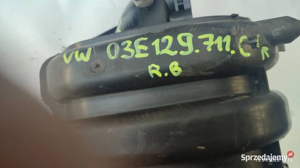 KOLEKTOR SSĄCY VW POLO IBIZA 12 12V 03E129711C świętokrzyskie Włoszczowa