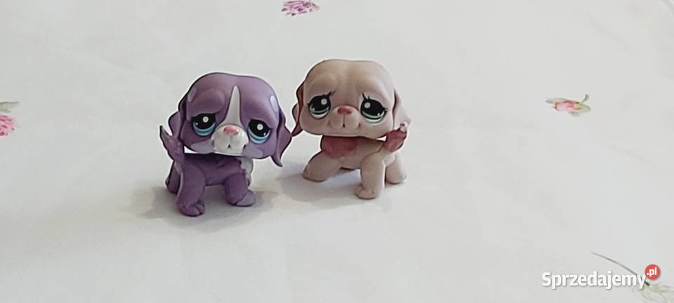 Pieski bernardy zestaw LPS Braniewo sprzedam