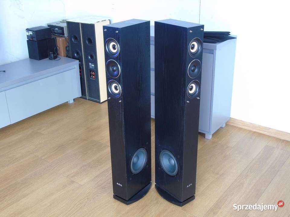 Mocne i ładne kolumny AEG 2x 480 wat DOSTAWA Jasło