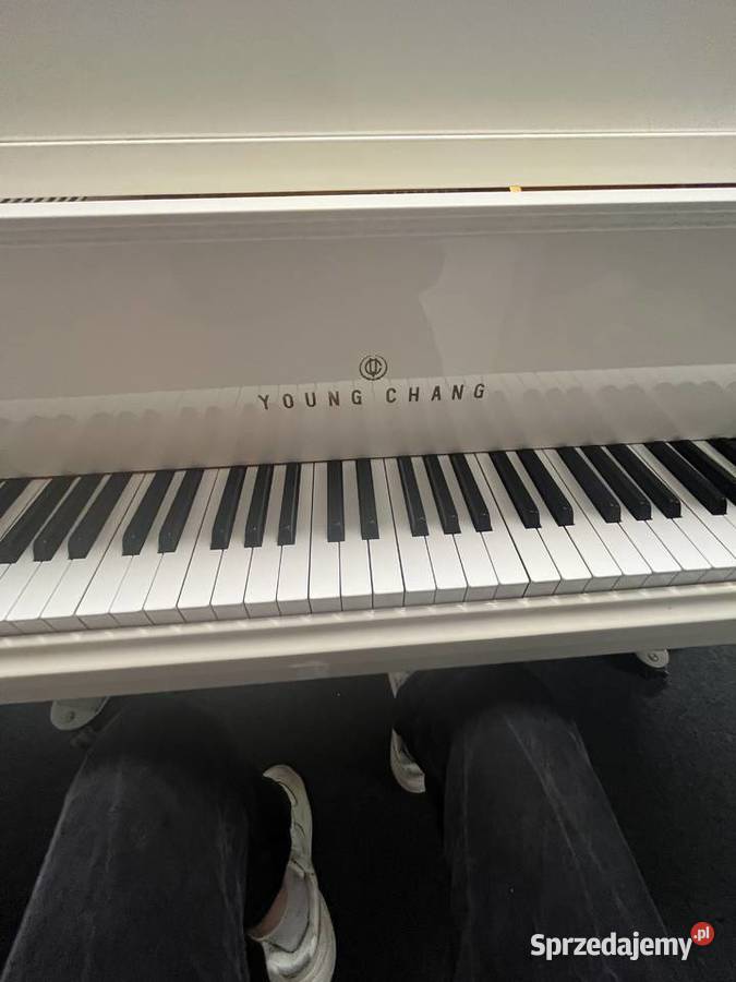 Profesjonalne zajęcia z pianina i teorii muzyki Warszawa