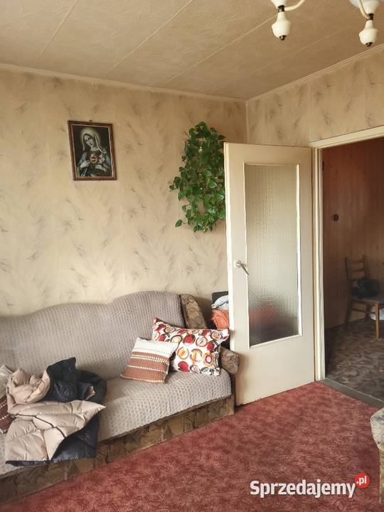 Syndyk sprzeda spółdzielcze własnościowe prawo Łódź sprzedam