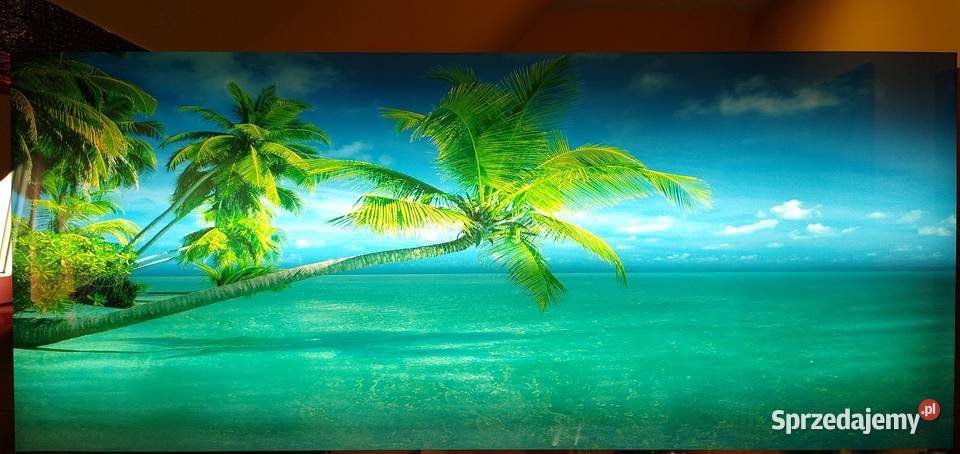 Obraz retro z dźwiękiem świecący 8widoków palmy Legionowo