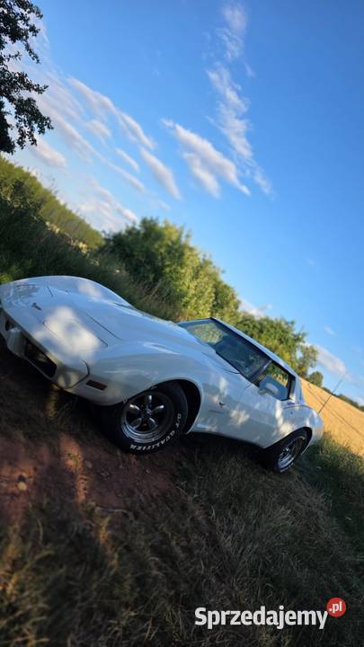 Chevrolet Corvette 5.7 C3, V8 Automat | 1979 | Biała | Klasyk USA