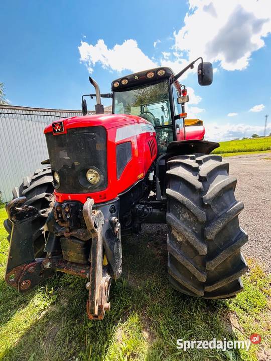 Massey Ferguson 6480 Siedliszcze