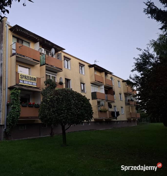 Przestronne mieszkanie 3 pokoje hol 654m2 piętro piwnica sprzedam