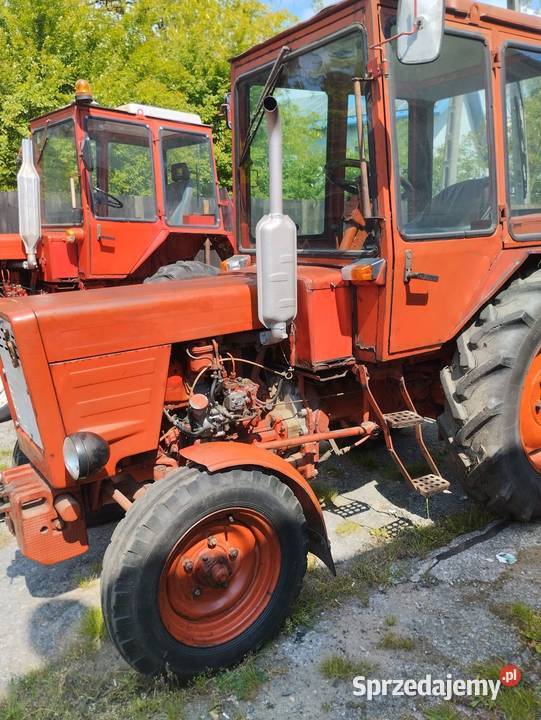 Władimirec t 25 Ostrowiec Świętokrzyski