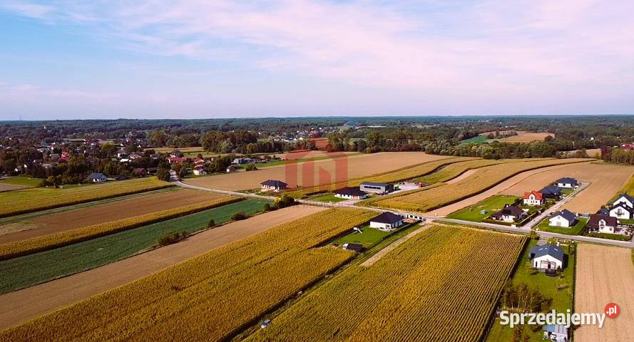 Grunt na sprzedaż 18750m2 Borek Wielki Wschodnia Sprzedaż