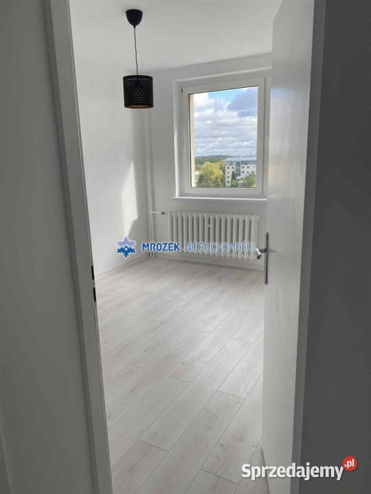 Mieszkanie do sprzedania JastrzębieZdrój 557m2 5368zł/m2 śląskie Jastrzębie-Zdrój sprzedam