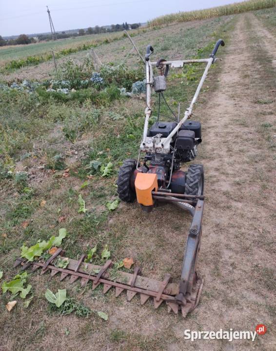 Glebogryzarka Bucher M300k Mag 1029 Agria MF Nowy Korczyn