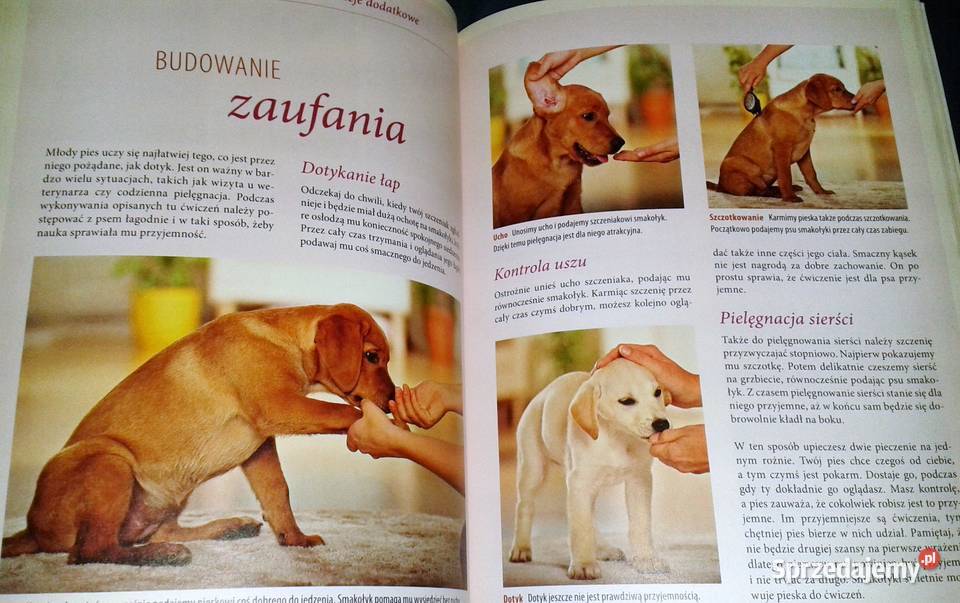 Wychowywanie psa Renate Jones