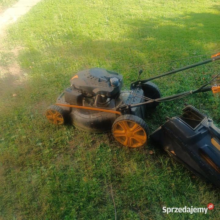 kosiarki spalinowe Lubcza