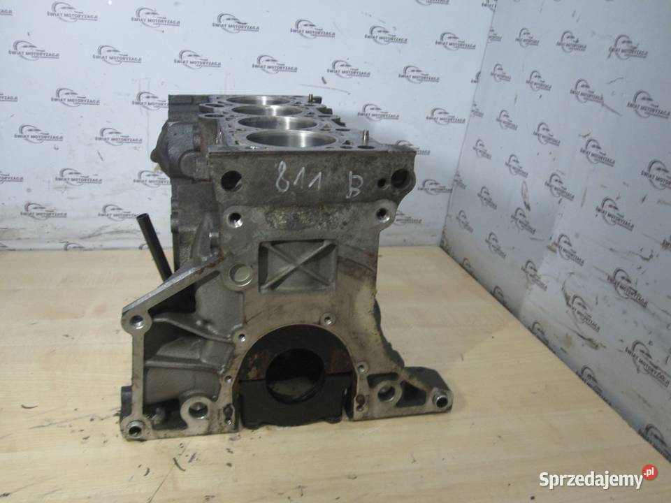 PASSAT B6 OCTAVIA 08r 20 FSI BVY 150 171 blok Kielce