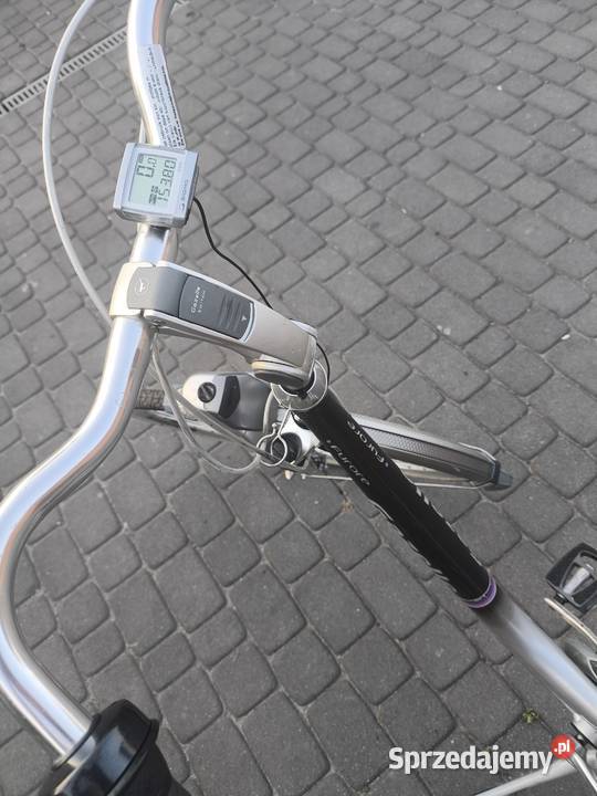 Rower gazelle Dobrodzień