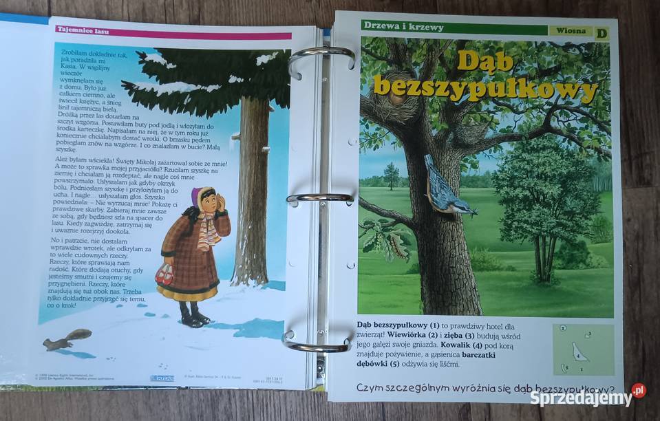 Leśne przygody karty z albumu DeAgostini Zbylitowska Góra