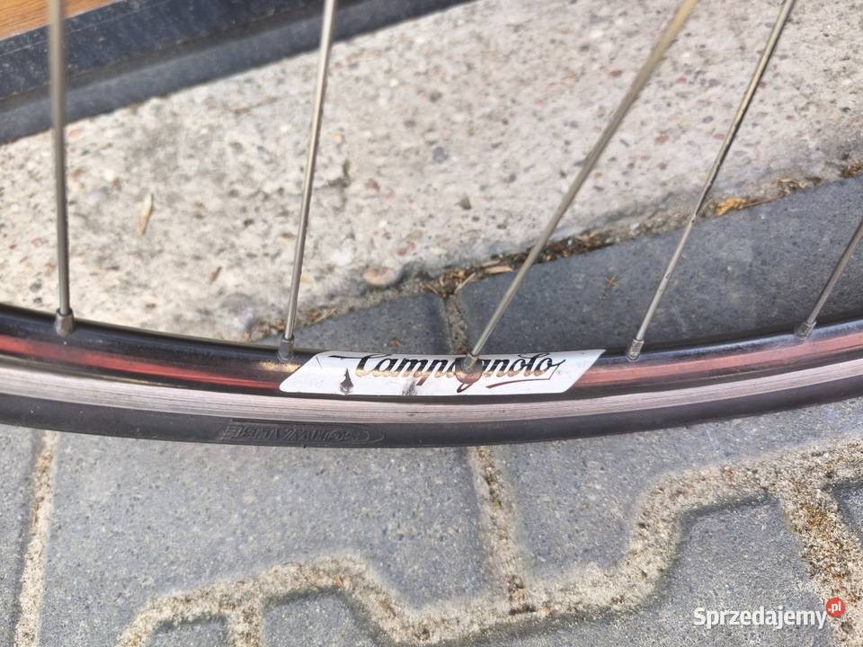 Sprzedam rower szosowy Concorde Sportivo mazowieckie Grodzisk Mazowiecki