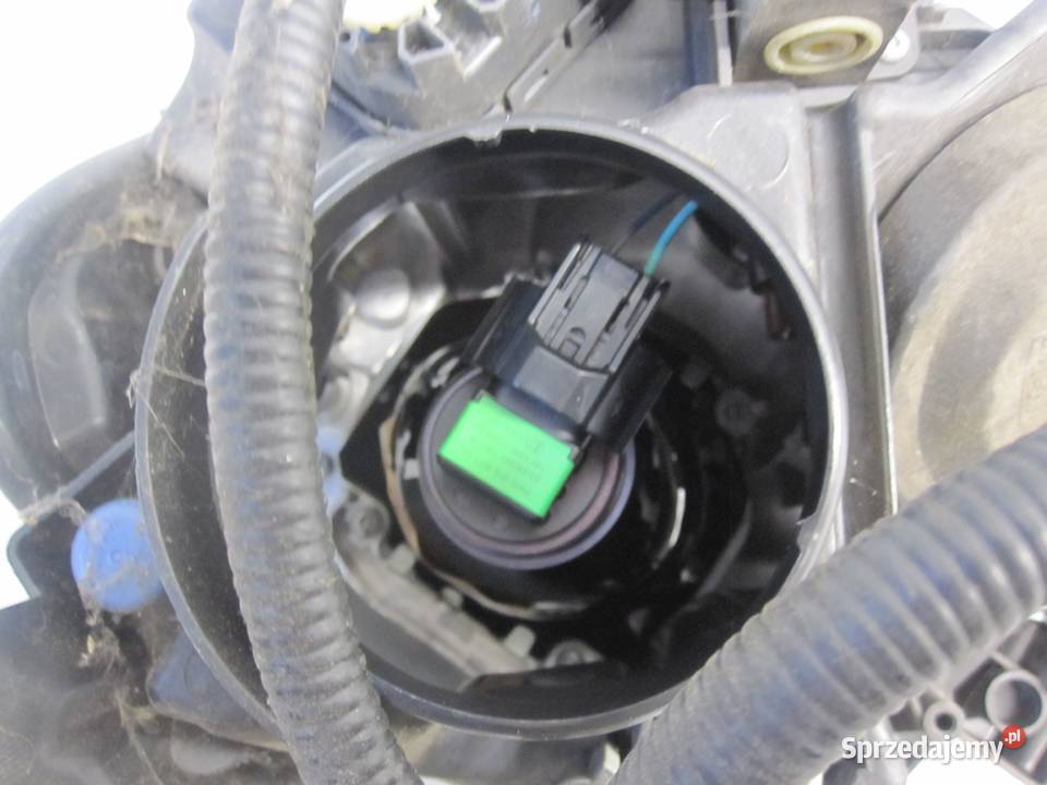 NISSAN JUKE 15r lampa prawa przód 26010BV80A Kielce sprzedam