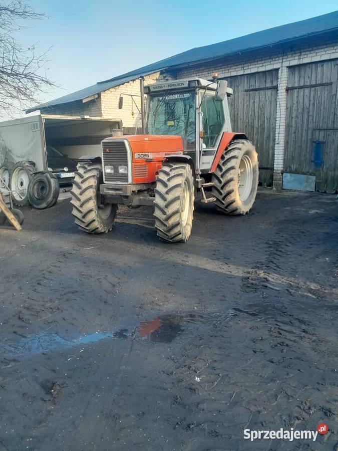 Massey Ferguson 3085 Dynashift Babczów sprzedam