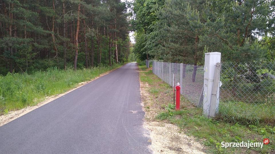 Działka rekreacyjna sprzedam Sprzedaż Trzepnica