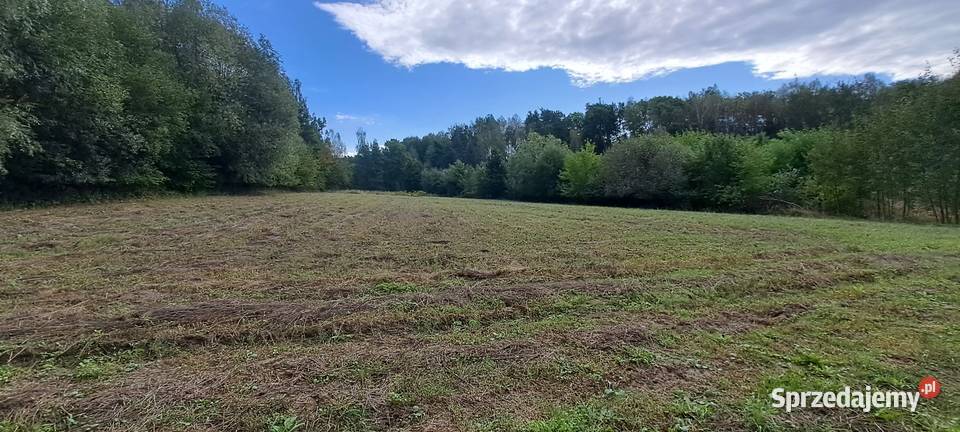 Działka 2x21arów Nieruchomości Krasnystaw