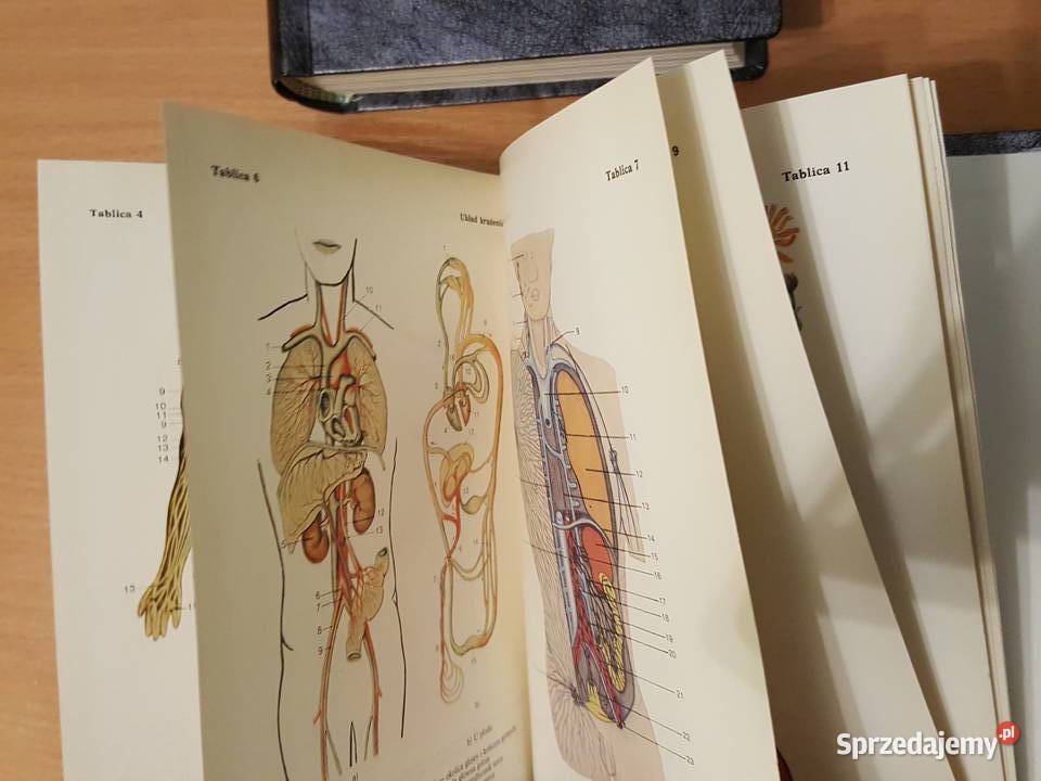 MAŁA ENCYKLOPEDIA MEDYCYNY 2 tomy Tadeusz wielkopolskie Złotniki