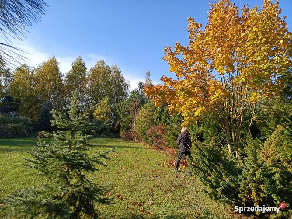 Działka budowlana Koszelówka 225zł/m2 mazowieckie