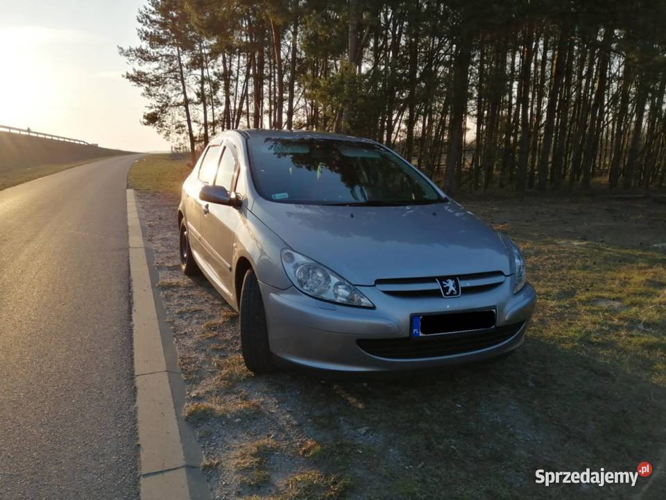 Peugeot 307 2003r 20 BG 136 elektryczne lusterka Opole Lubelskie sprzedam