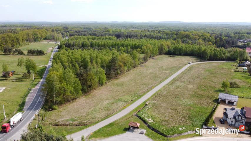sprzedaży gruntu 17500m2 RudyRysie Sprzedaż Nieruchomości Rudy-Rysie