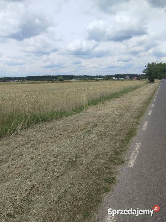 Działka rolno budowlana PIOTRKÓW TRYBUNALSKI Piotrków Trybunalski