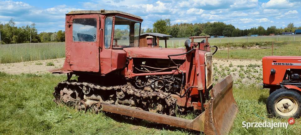 Ciągnik gąsiennicowy spychacz spycharka DT 75 sprzedam