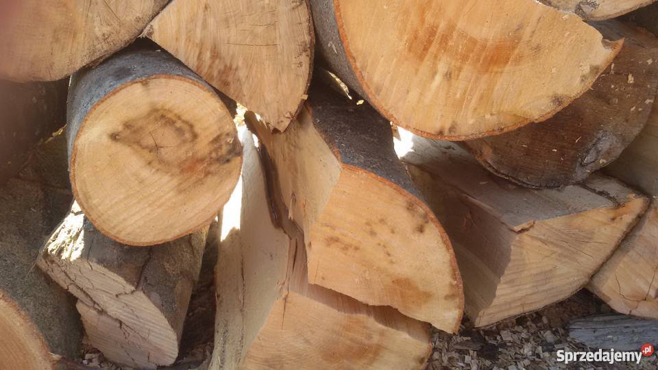 DREWNO TWARDE PROMOCJA Morąg